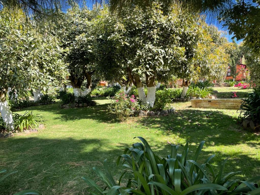 La Huerta Alojamento de Turismo Selvagem Mazamitla